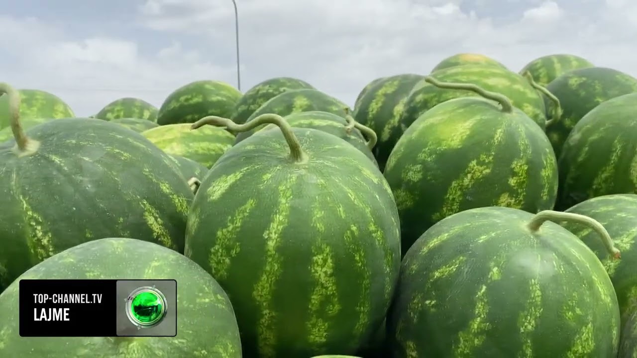 Ular obektlarni anusga suradilar Atirgulning eshagini mushtlash