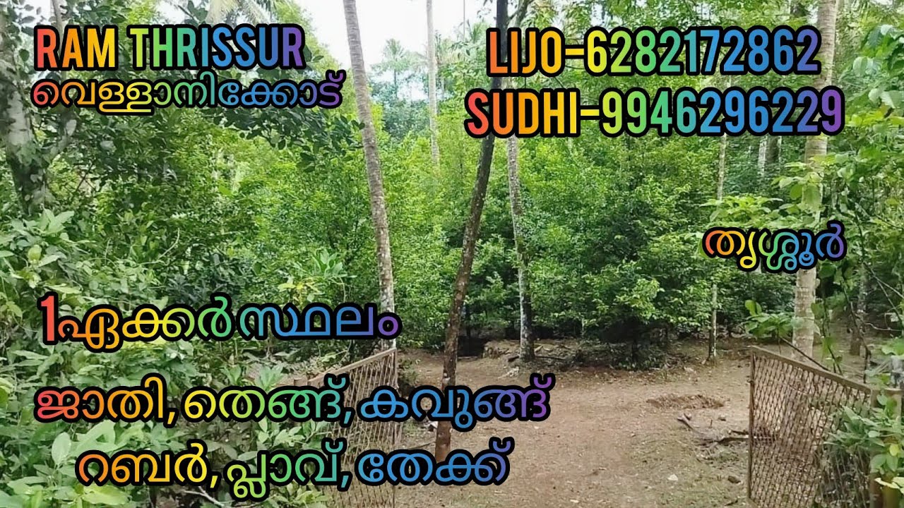 1ഏക്കർ സ്ഥലം ജാതി, തെങ്ങ്, കവുങ്ങ്, റബർ, പ്ലാവ്, തേക്ക് |RT564|വലിയ കിണർ RAM THRISSUR.......
