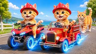 Mama Cat Trims Fur on the Farm and Makes Tiger Hat For Kittens At Home