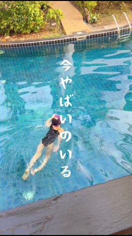 プールにこれいるの聞いてないんだけど😱大自然すぎるプーケット旅行のvlog