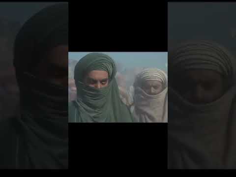 السيده سكينه عمها العباس عليه السلام نفس الحركات حفيدات الكرار اشترك في القناة لايك