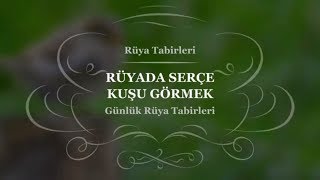 ruyada serce kusu gormek yakalamak sevmek opmek olmesi yuvasi tabiri ve yorumu ruya yorumu youtube