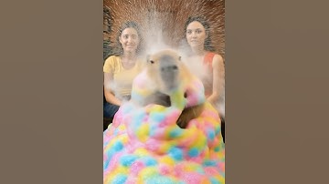 Rainbow Foam Explosion 🌈😂 Capybara Chaos! #カピバラさん #capybara