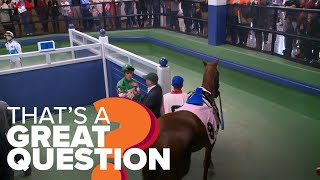 Arkansas's black bears & stakes races explained! | That's A Great Question