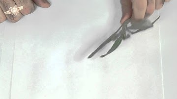 Colour Theory... part 1 (3 Colours Up: Painting Tutorial)