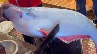 Amazing Cutting Skills Giant Pangas Fish Cleaning Chopping By Expert Fish Cutter