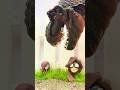 No One Expected Spiderman to Reject the Dinosaurs #shortvideo #spiderman #marvel #avengers