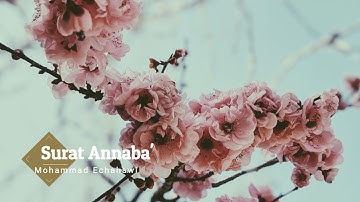 Sourat Annaba' by Mohammad Echahri سورة النبأ بصوت القارئ محمد الشهاوي