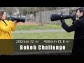 Bokeh challenge Nikon 200mm f2 vr vs 400mm