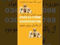 army dog center#lahore#army dog center#lahore#03005654528