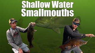 Shallow Water Smallmouth Secrets Every Angler Needs