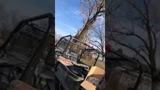 Light realistic full body goose Decoy