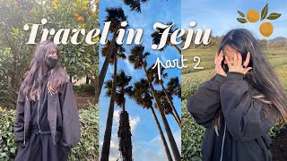 Exploring Jeju ?? Hallim Park, Lava Beach, Osullok Tea and Innisfree House (part 2)