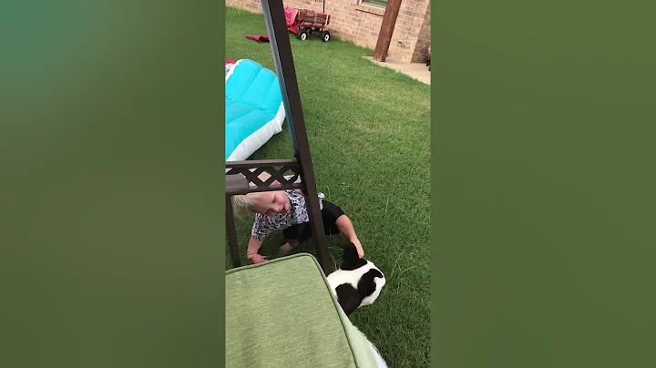 Look! I'm a dog too!!