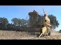 New holland tx32  veelers agraservice  harvest 2016 