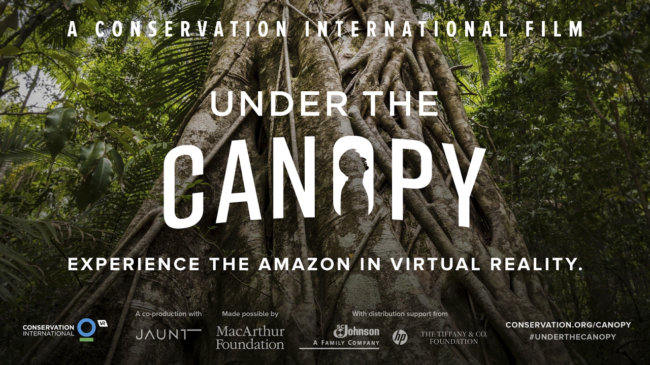 Amazon Forest Xxx Video - Enjoy the Great Amazon Rainforest in VR â€“ Virtual Reality Times