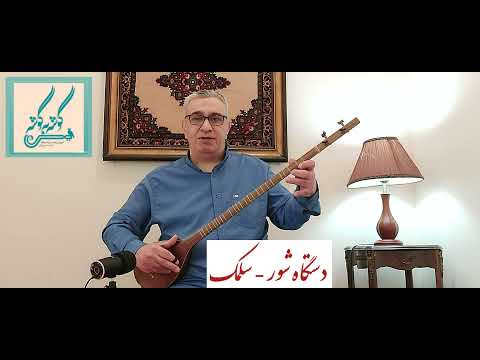 سلمک دستگاه شور ردیف میرزاعبدالله امیرحسین رائی سه تار