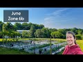 Garden tour kentucky  zone 6b  june  vegetable garden and orchard on the homestead