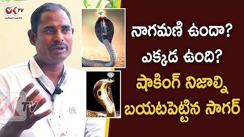 Nagamani Real Stone Shocking Facts Revealed | Snake Catcher Sagar Interview | Latest Videos | OkTv
