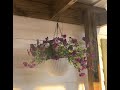 Self Watering Hanging Planter Pots
