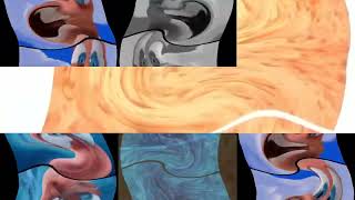 Dreamworks Animation Skg Shark Tale Variant Reversed In G-Major 1181 Has A Sparta Gamma Remix