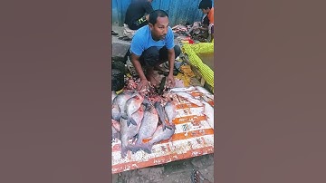 amazing fish cutting ☺️#shorts #viralshorts #fish #fishing #amazingfish #trendingshorts #tiktok #cow