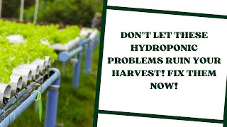 Don't Let These Hydroponic Problems Ruin Your Harvest! Fix Them Now!
