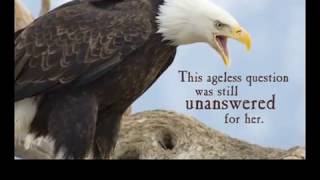 Motivational Clip   Even Eagles needs a Push