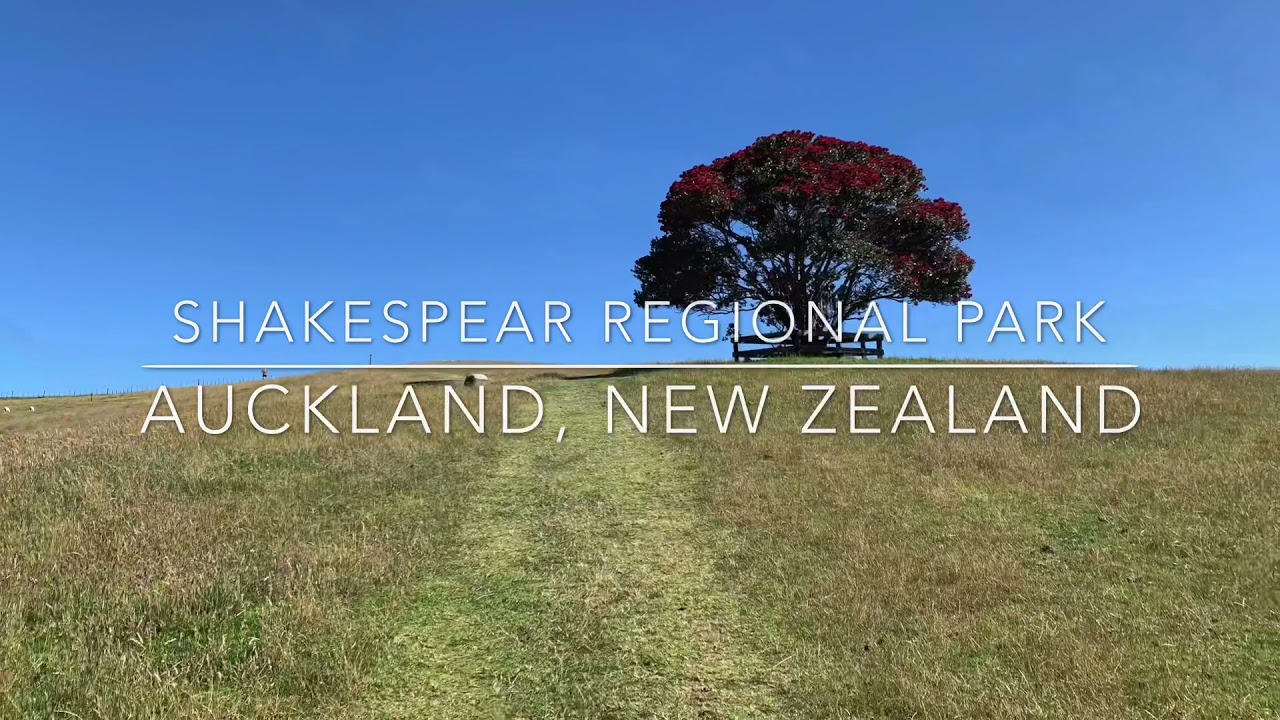 Shakespear Regional Park - Auckland, New Zealand