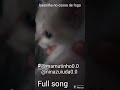 baunilha no oásis de fogo ( @ninazuiuda0.0 )