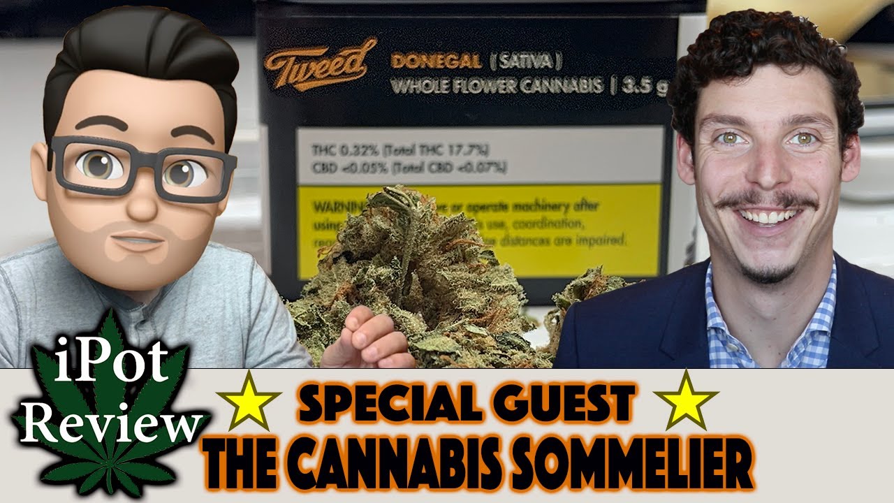 Donegal by Tweed Reviewed WITH SPECIAL GUEST!!! | iPot Review