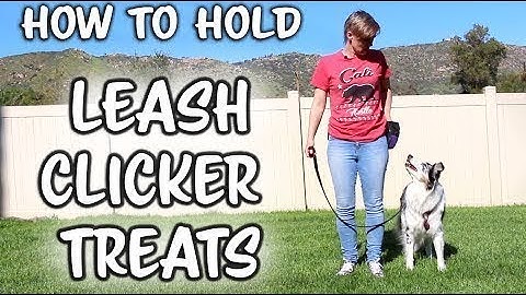 How to hold the leash clicker and treats