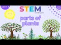 Parts Of A Plant | Science For Kids | STEM Home Learning