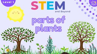Parts Of A Plant | Science For Kids | STEM Home Learning