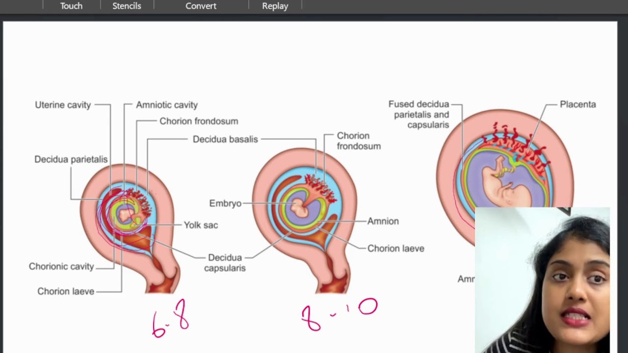 OBG Tit Bits on Placenta  | NEET PG | Obstetrics Book | Medical Books