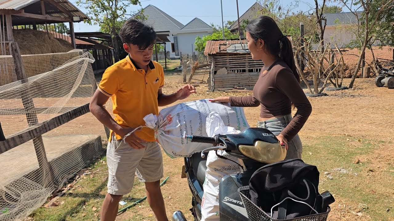 ไปจนบ่อทันคนเต็มบ้านตาผายหลานสาวตาผายกับผัวมาแก่เอาสาลีไปแจก