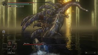 ELDEN RING - Radagon \& The Elden Beast