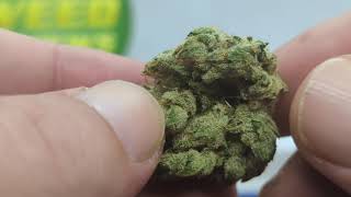 One and Done: Lemon Fuel OG from Alien Labs