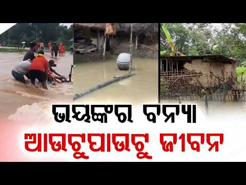 Severe Flood Hits North And Coastal Odisha | NDRF Rescue Operation |  Argus News