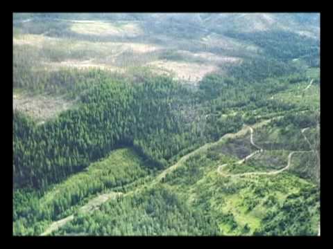 Part 2: From Controversy to Common Ground: The Colville National Forest Story