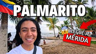 Llegué a la ÚNICA PLAYA del estado MÉRIDA- Mi travesía de más de 800km al CATATUMBO #venezuela