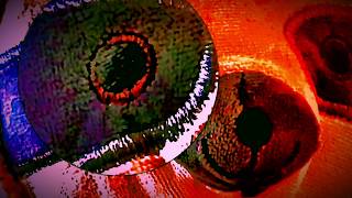 Minimal Techno Fluttering Beat P00Rly Recorded On Casssette