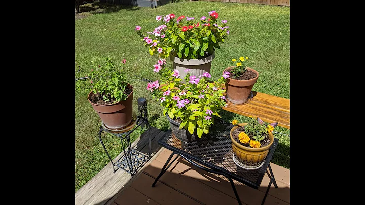 Candace S. Ellison Memorial Garden 2022