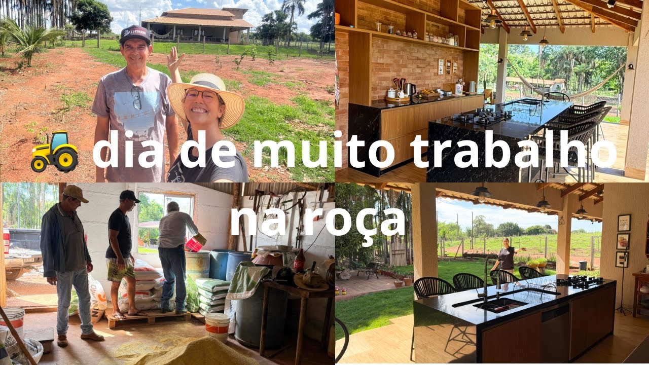 🚜 PREPAROU RAÇÃO PRO GADO 🐄 COZINHA BRILHANTE E JARDIM FLORIDO! AH JÁ TEMOS FRUTAS MADURAS! 