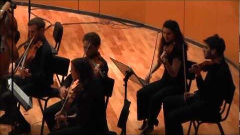 Mozart: String Quintet in C Minor K.406 Arranged for String Orchestra