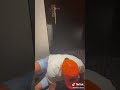 حد عايز حاجه من تحت خالد جواد حد عايز حاجه من تحت خالد جواد