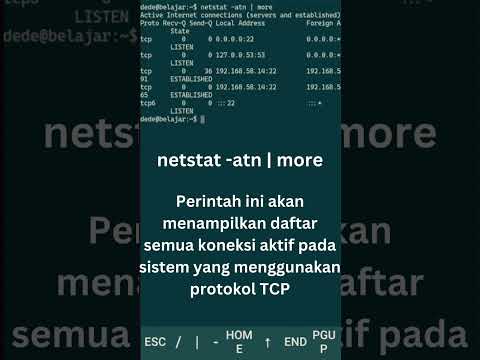 sintak netstat   help #shorts #linux