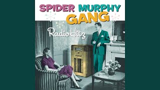 Vignette de la vidéo "Spider Murphy Gang - Ja oder nein"