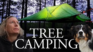 Tree Tent Camping with a Dog | Hammock Solo Camping in a Tentsile Connect