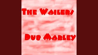 Video thumbnail of "The Wailers Band - I Shot The Sheriff Dub"